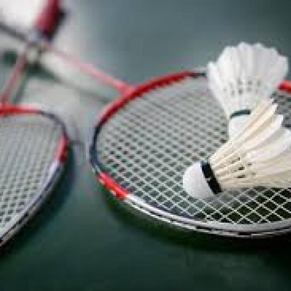 Badminton/Pickleball